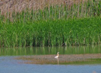 Прикрепленное изображение: zb04.jpg